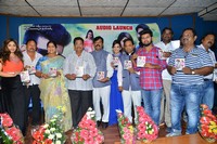 Danger Love Story Audio Launch